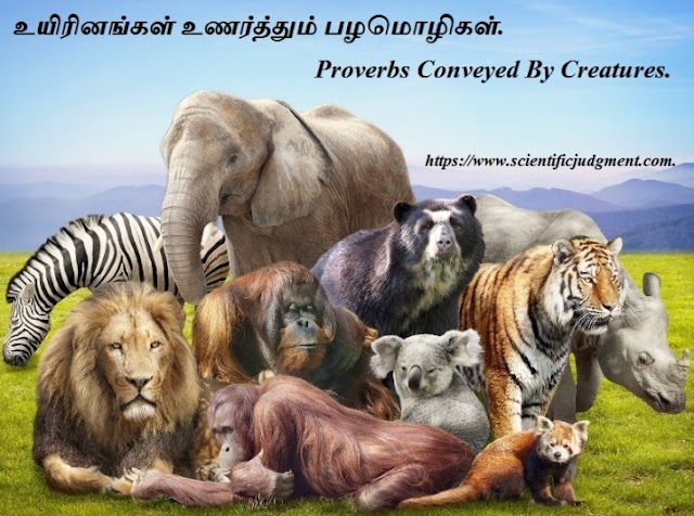 உயிரினங்கள் உணர்த்தும் பழமொழிகள் - Proverbs Conveyed By Creatures.