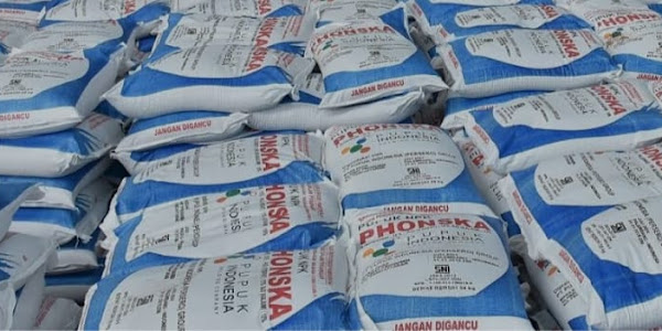Diduga Jual di Atas HET, Sejumlah Kios di Lampung Barat Naikkan Harga Pupuk Bersubsidi