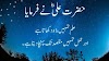 20+ Best Quotes Of Hazrat ALI (R.A)