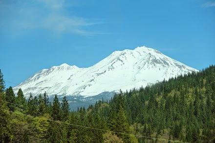 IMG_9118