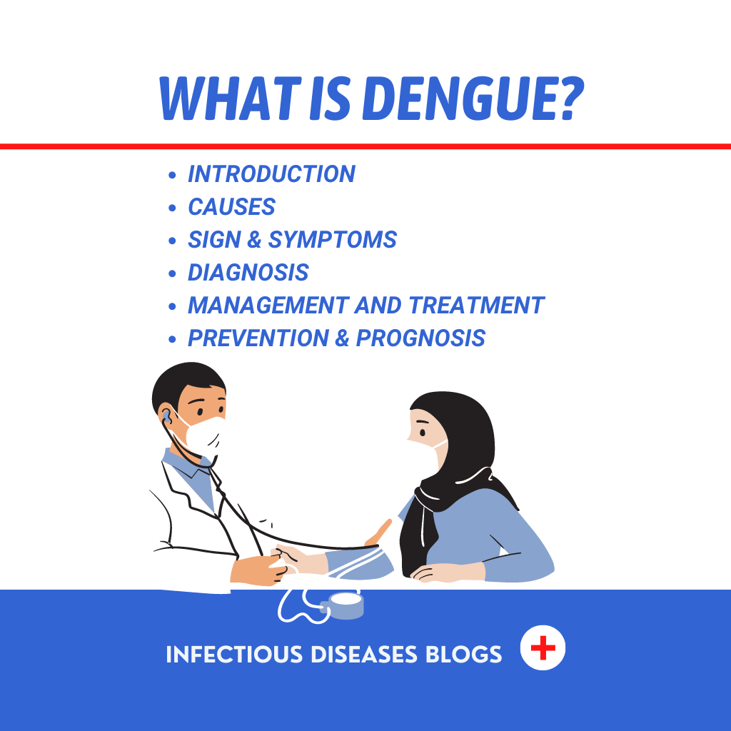 What is Dengue? What is Dengue?