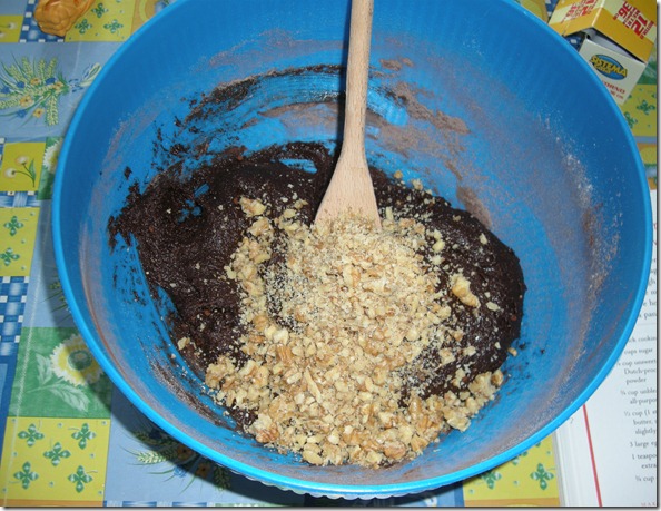 DSCN0007