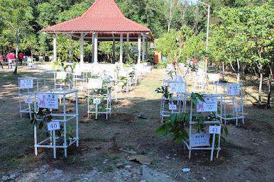 Aneka pohon dari berbagai daerah di Indonesia di Hutan Wisata Tinjomoyo