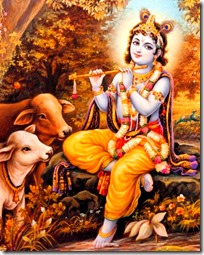 [Lord Krishna]