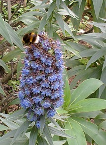 07042013358