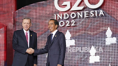  Erdogan Terpilih Kembali, Jokowi Mengucapkan Selamat