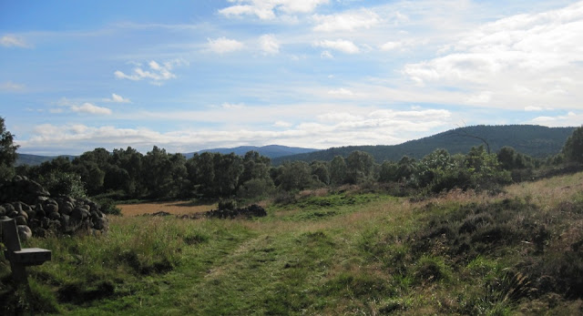 A panoramic view over Muir of Dinnet