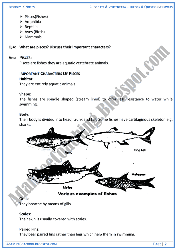 chordata-and-vertebrata-theory-notes-and-question-answers-biology-notes-for-class-9th