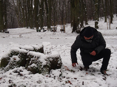 grzyby 2017, grzyby w grudniu, grzyby zimowe, grzyby w Lasku Wolskim, wycieczka na Kopiec Piłsudskiego