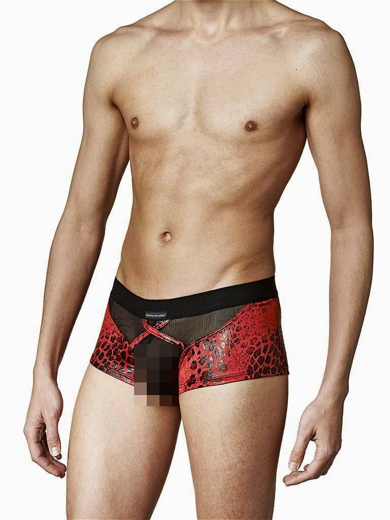 Benno Von Stein Bayden Brief Fantasy Red Cool4Guys