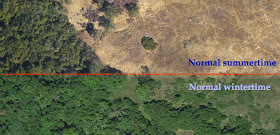 Aerial photo of California hillside.  Winter vs. summer.