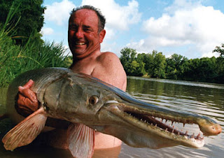 Alligator Gar