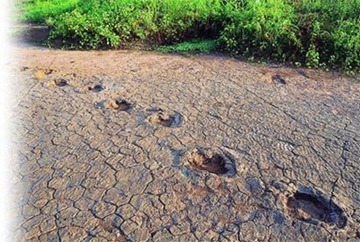 ValedosDinossauros