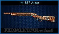 M1887 Aries