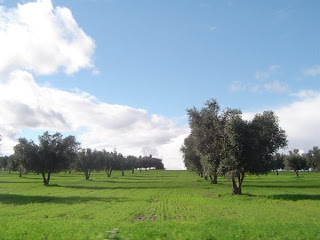 Alentejo