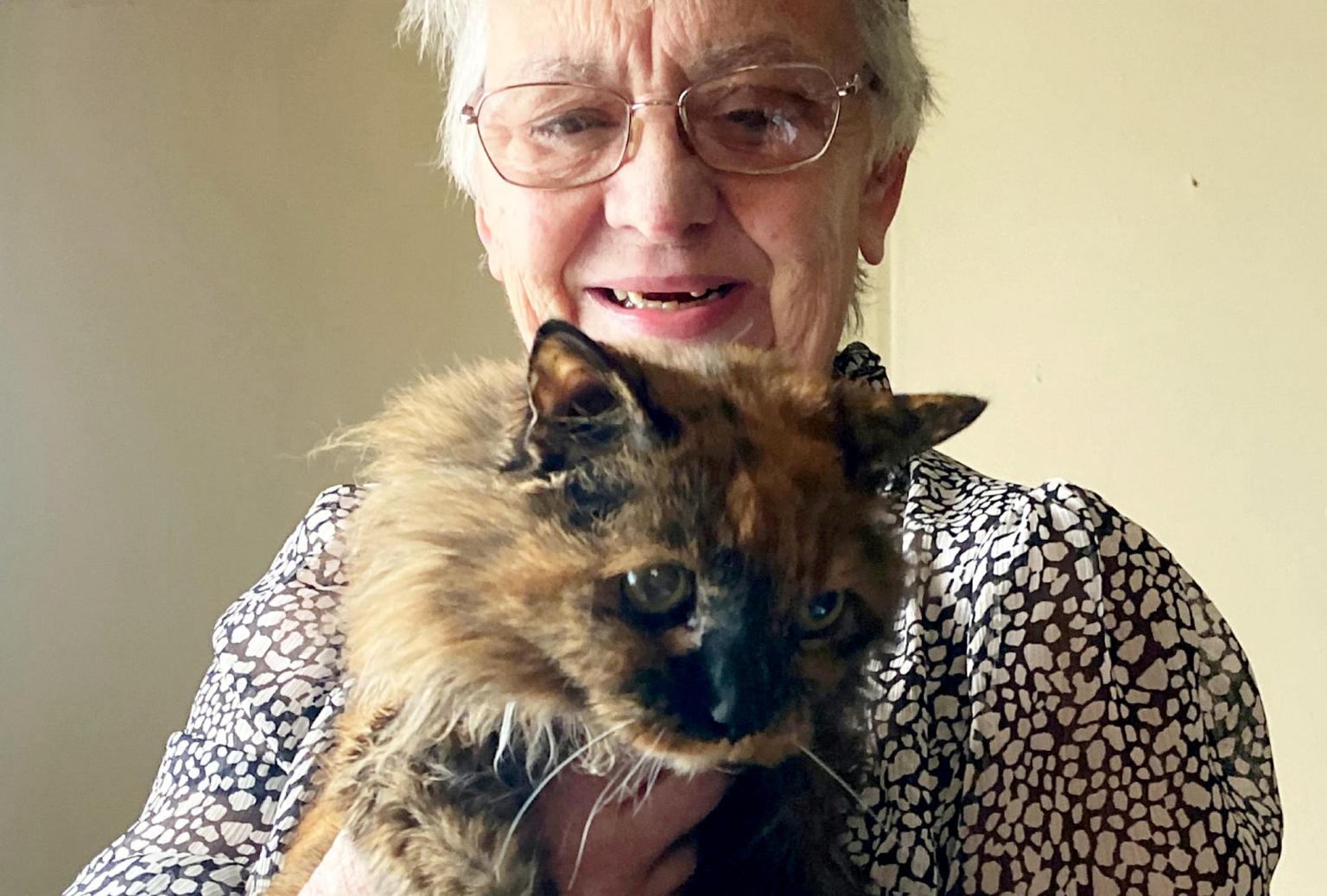 Rosie the Fluffy Tortoiseshell Cat being carried by her owner