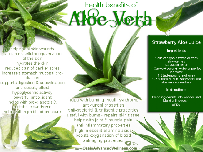 Health Benefits Aloe Vera Plant