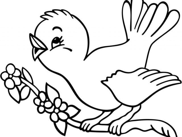 cartoon birds coloring inspirational coloring pages