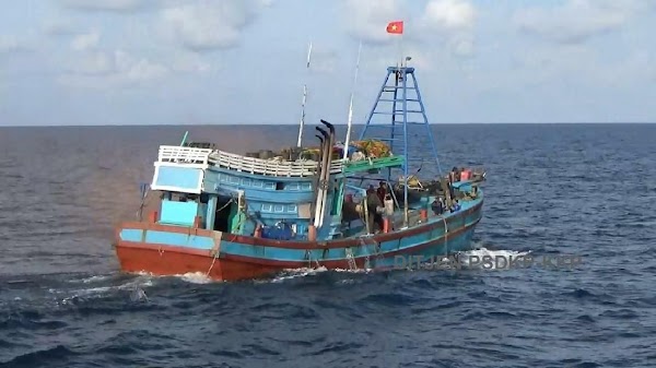 Selain Impor 40% Ikan Beku, RI Juga Impor 49% Cumi dari China
