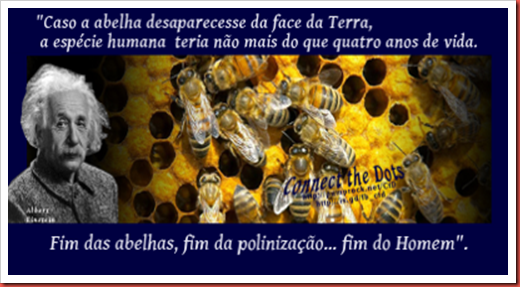 Einstein abelhas_Prana Saúde_up