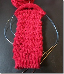 CookieA Dizzy Sock 1