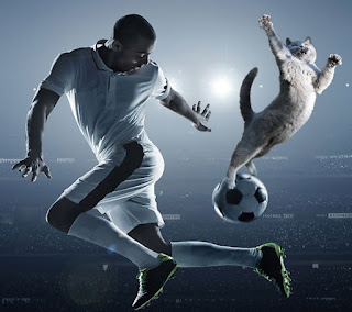 Gatos agregados en Photoshop en imágenes de fútbol hacen que todo sea mejor