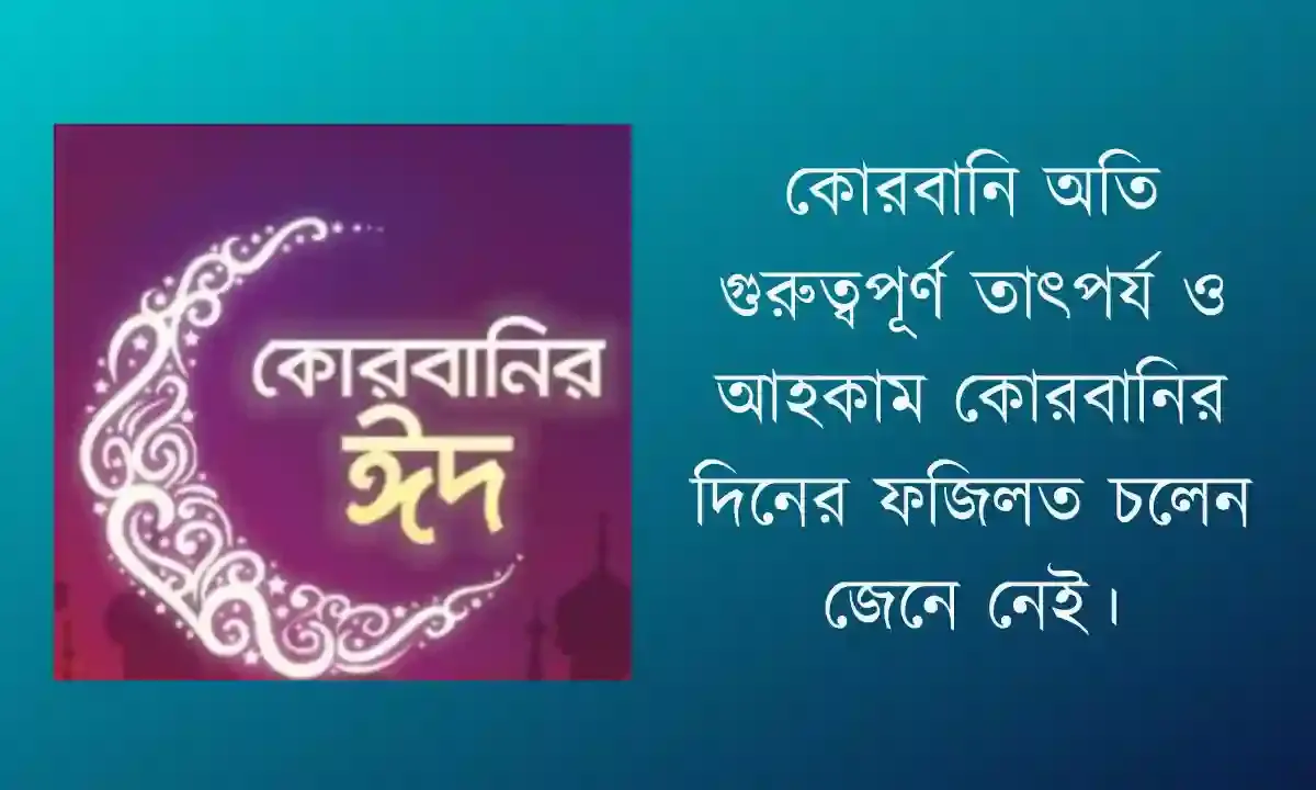 কোরবানি অতি গুরুত্বপূর্ণ তাৎপর্য ও আহকাম