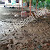 Proyek Siluman Pekerjaan Paving Block di Halaman Kecamatan Cikarang Utara Diduga Asal Jadi