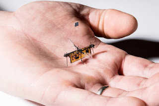 Serangga Robotic berupaLalat Tanpa Kabel