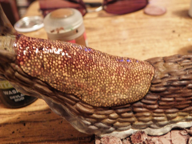P7170358
