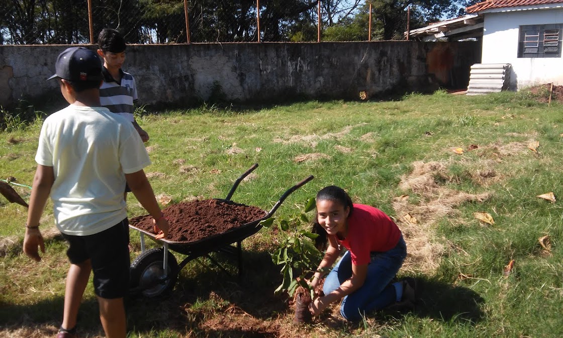 Projeto Revitalização da Escola Orlando.