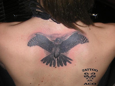 Tattoo Falcon Tattoo Falcon