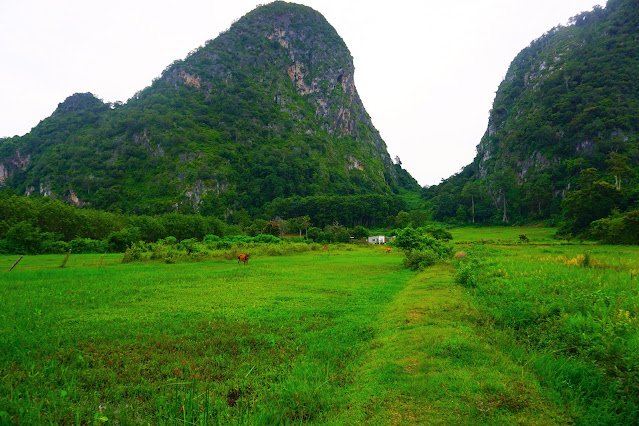 12 Tempat Menarik Di Perlis