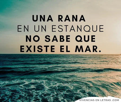 Reflexión sobre la vida