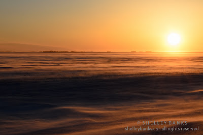 Winter Sunset.  Photo © Shelley Banks, All Rights Reserved