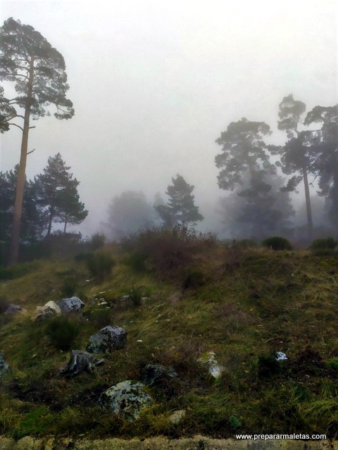 niebla de camino al puerto de Navacerrada