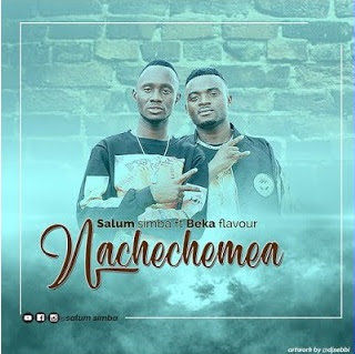 Salum Simba Ft. Beka flavour - Nachechemea mp3 - Audio Download