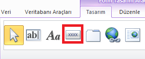 Access Form Tasarımı