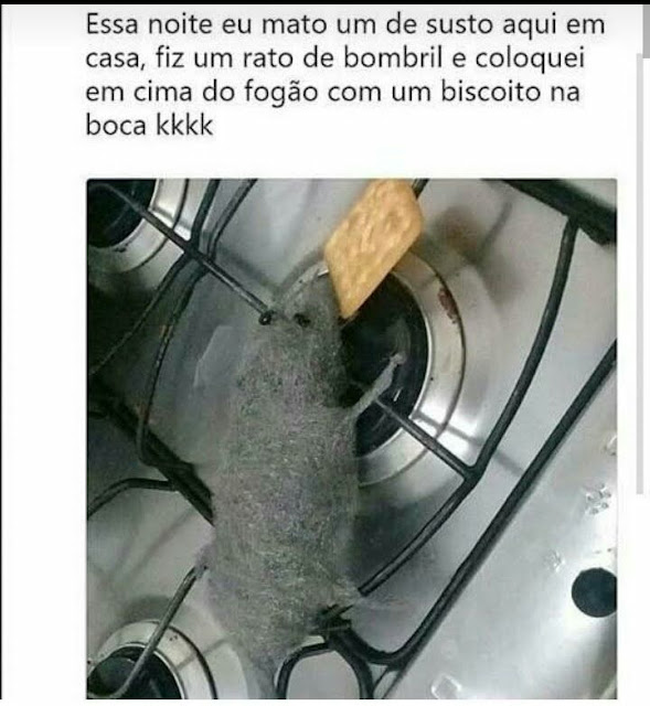 memes engraçados