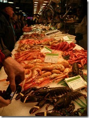 25.01.12 Olot, Spain 141