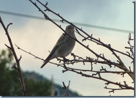 P1000460