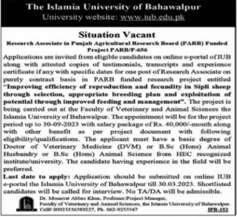 Islamia-University-of-Bahawalpur-Research-Associate-Jobs