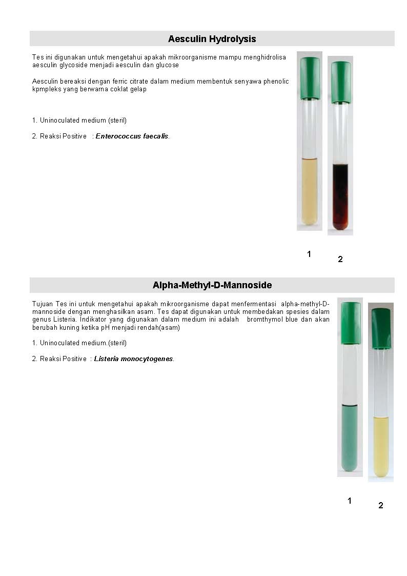 MIKROBIOLOGI UNTUK TEHNISI KESEHATAN: UJI BIOKIMIA