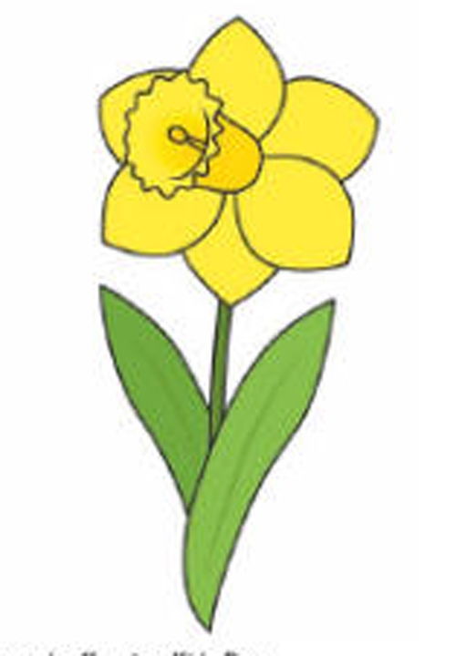 Cara Menggambar Bunga  Bakung Lily Contoh Anak PAUD