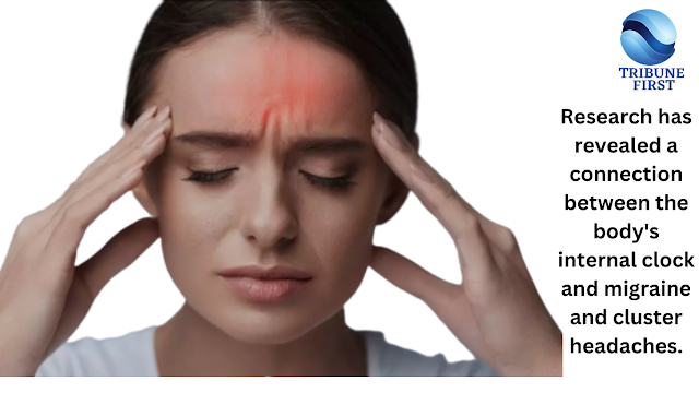 The body's natural clock has a role in the development of migraine and cluster headaches.