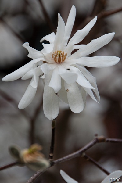 IMG_3568 copy