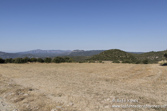 Ruta: Puiggraciós (808 m) (Els 100 Cims)