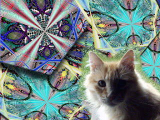 psychedelic art by gvan42 - CAT
