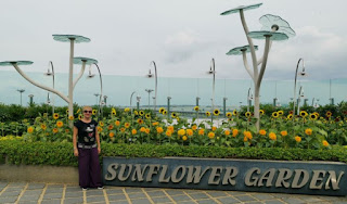 Aeropuerto Internacional Changi de Singapur.