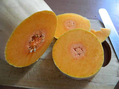 ZUCCA